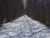 20040201_Bloomer_Bob1.JPG (64370 bytes)