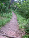 PCT_2004_06_06_181.JPG (430263 bytes)